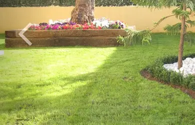 TALA Y PODA EN ALTURA DE ÁRBOLES, ALMERÍA TALA Y PODA EN ALTURA DE ÁRBOLES, ALMERÍA